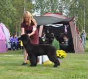 Превью фото № 224228