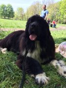 Превью фото № 224248