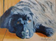 Превью фото № 224282