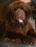 Превью фото № 224283