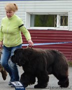 Превью фото № 224316