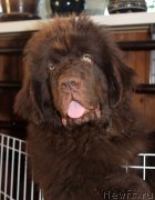 Превью фото № 224390