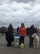 Превью фото № 224408