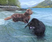 Превью фото № 224432