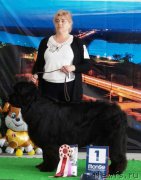 Превью фото № 224508