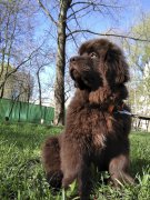 Превью фото № 224512