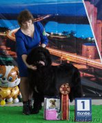 Превью фото № 224526