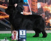 Превью фото № 224529