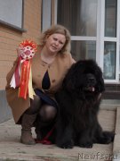 Превью фото № 224532