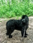 Превью фото № 224538