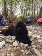 Превью фото № 224547