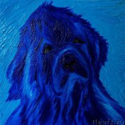 Превью фото № 224587