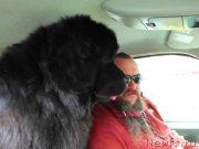 Превью фото № 224618