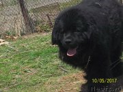 Превью фото № 224633