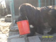 Превью фото № 224634