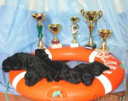 Превью фото № 224640