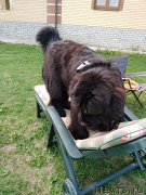 Превью фото № 224653