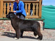 Превью фото № 224655