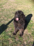 Превью фото № 224662