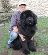 Превью фото № 224676