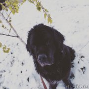 Превью фото № 224724