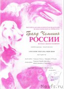 Превью фото № 224726