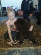 Превью фото № 224765