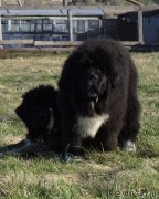 Превью фото № 224773