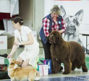 Превью фото № 224781