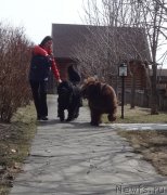 Превью фото № 224792