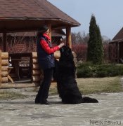 Превью фото № 224795