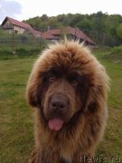 Превью фото № 224804