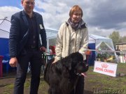 Превью фото № 224828