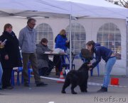 Превью фото № 224846