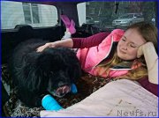 Превью фото № 224872