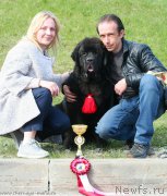 Превью фото № 224900