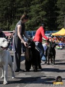 Превью фото № 224928