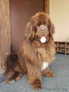 Превью фото № 224938