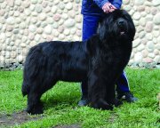 Превью фото № 224945