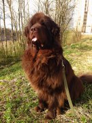 Превью фото № 224946