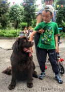 Превью фото № 224988