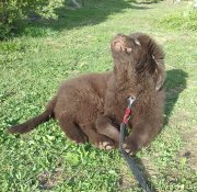 Превью фото № 224995