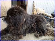 Превью фото № 225031