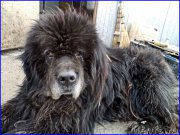 Превью фото № 225033