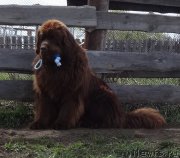 Превью фото № 225048