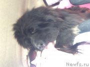 Превью фото № 225052