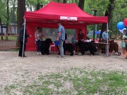 Превью фото № 225061