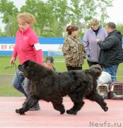 Превью фото № 225241