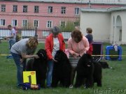 Превью фото № 225244