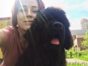 Превью фото № 225296